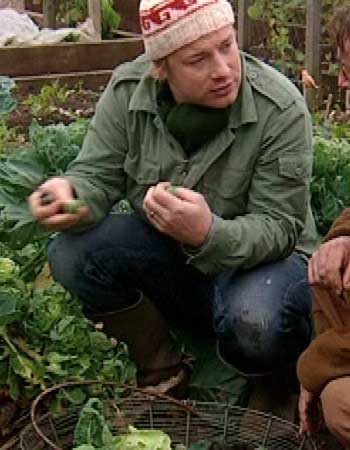 Jagged Jamie Oliver
